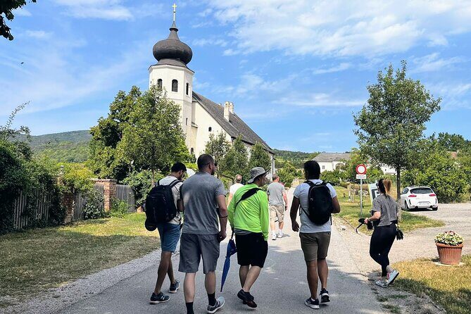 Private Vienna Woods Wine Tour - The guide experience: why English native commentary changes everything