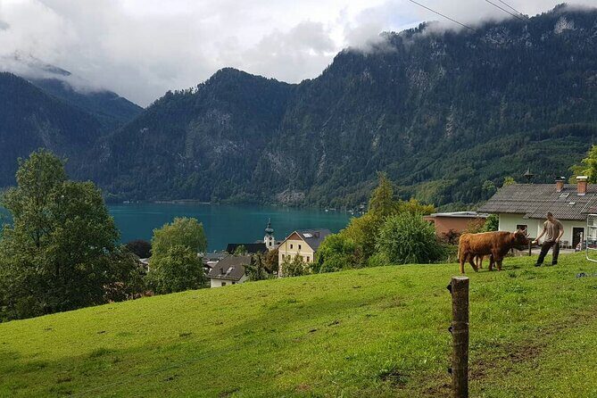 Salzburg: Small-Group Day Trip from Vienna - Using your free time in Salzburg: eat well and don’t wander in circles