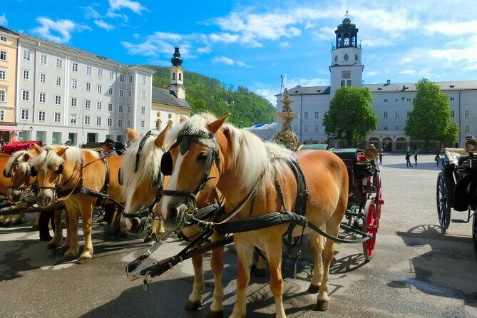 Salzburg: Small-Group Day Trip from Vienna - Linz break and the Lake Attersee photo stop: stretch your legs