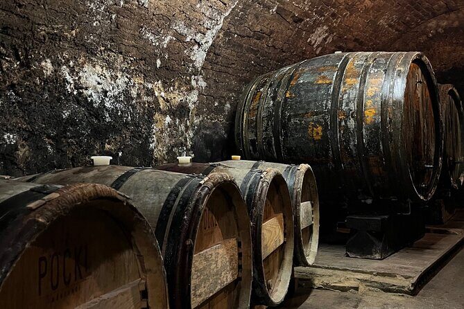 Taste and Tour Small Organic Wineries with a Winemaker - Stop 4: WeinSchach in Langenlois and the Quest for Pet Nat Balance