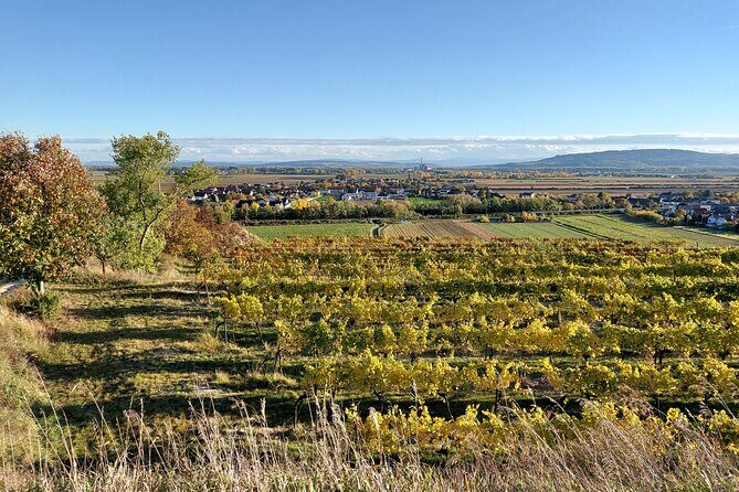 Taste and Tour Small Organic Wineries with a Winemaker - Stop 5: Ausblick am Welterbesteig for Vineyard Views and a Final Taste