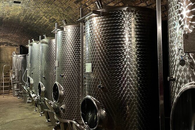 Taste and Tour Small Organic Wineries with a Winemaker - Value Check: Is $114.02 Worth It?