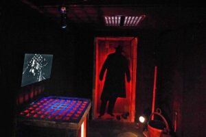Third Man Museum Admission Ticket Vienna - Anton Karas zither: hearing the film’s sound made tangible