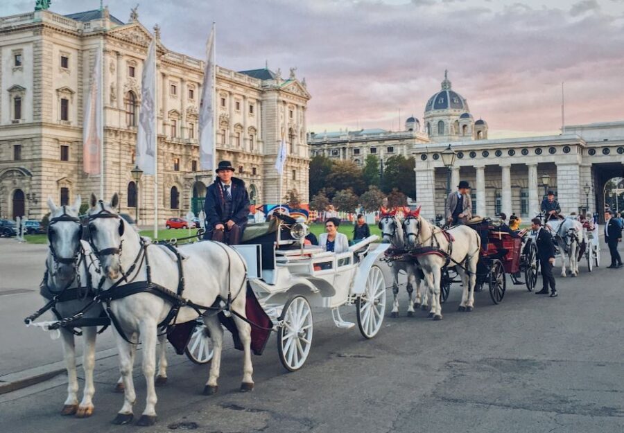 Vienna: 30-Minute Fiaker Ride in the Old Town - Fiaker Basics: What 30 Minutes on a Two-Horse Carriage Is Like