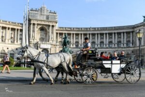 Vienna: 30-Minute Fiaker Ride in the Old Town - Your Starting Spot: St. Stephen’s Cathedral or Michaelerplatz