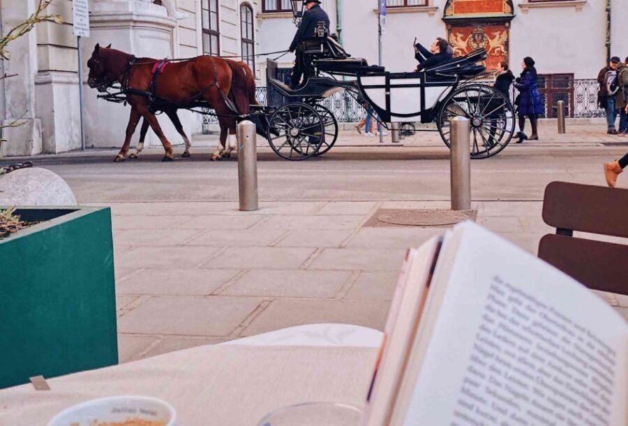Vienna: 30-Minute Fiaker Ride in the Old Town - The Route Through Power: Hofburg, the Habsburg Era, and the Government Today