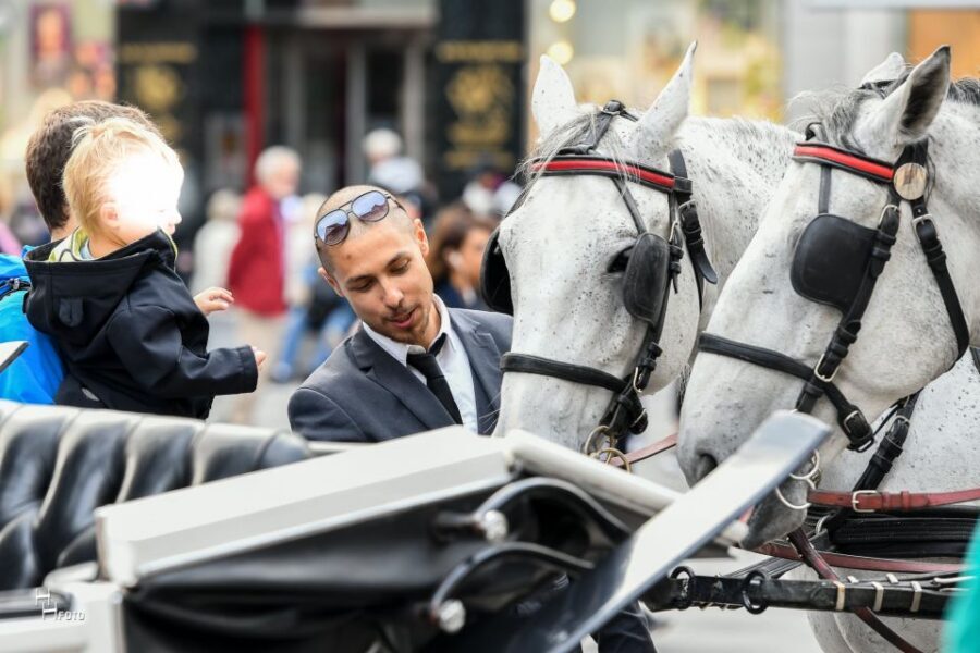 Vienna: 30-Minute Fiaker Ride in the Old Town - Who This Vienna Fiaker Ride Suits Best