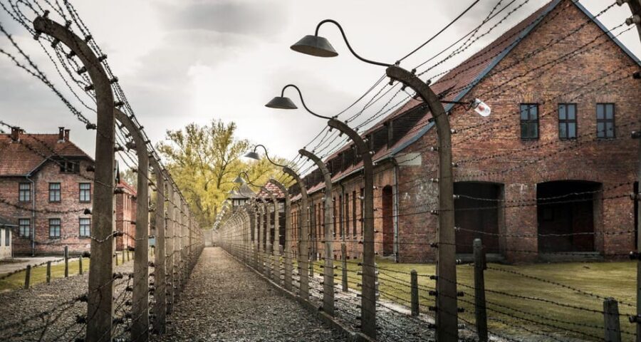 Vienna: Auschwitz Birkenau Full-Day Tour w/ Hotel Transfers - Vienna to Auschwitz in one long day: the rhythm matters