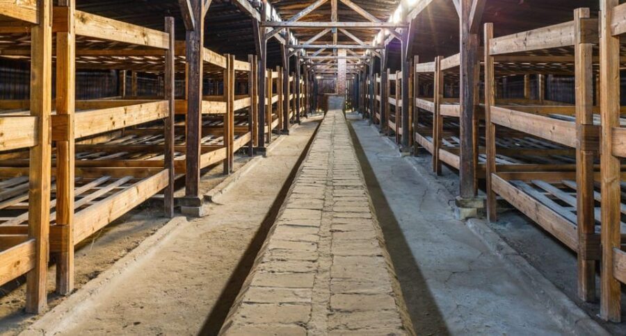 Vienna: Auschwitz Birkenau Full-Day Tour w/ Hotel Transfers - Price and value: what you’re paying for at $666 per person