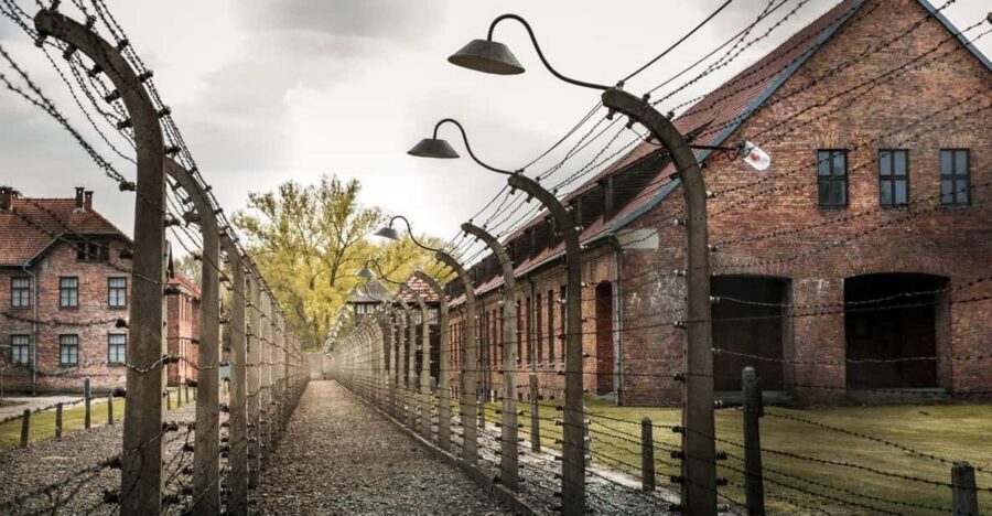 Vienna: Auschwitz Birkenau Full-Day Tour w/ Hotel Transfers - Who this tour fits best (and who might reconsider)