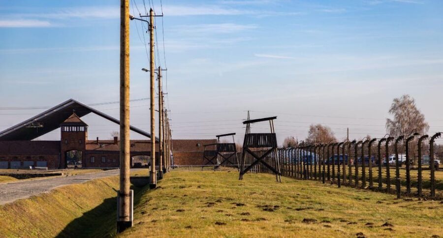 Vienna: Auschwitz Birkenau Full-Day Tour w/ Hotel Transfers - Should you book this Auschwitz-Birkenau day trip from Vienna?