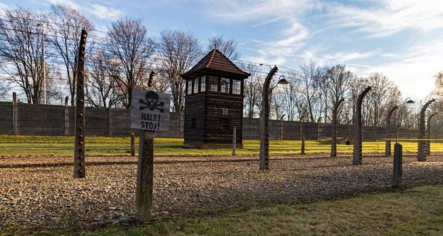 Vienna: Auschwitz Birkenau Full-Day Tour w/ Hotel Transfers - Skip-the-line entry and how the 3.5 hours inside really plays out