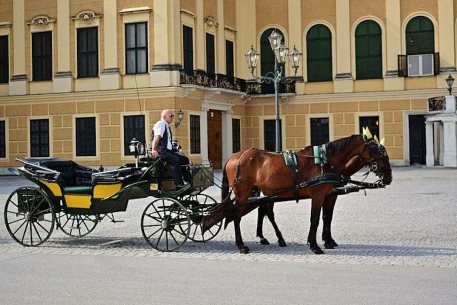 Vienna: Carriage Ride Through Schönbrunn Palace Gardens - Key Highlights You Should Know Before You Go