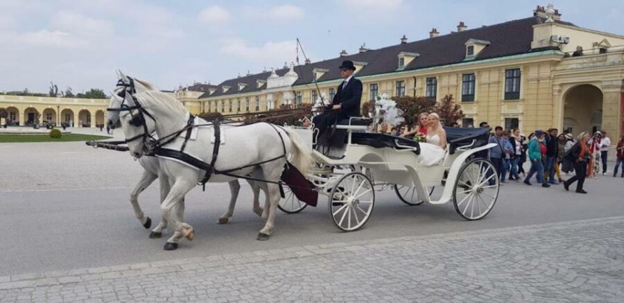 Vienna: Carriage Ride Through Schönbrunn Palace Gardens - Why This Schönbrunn Carriage Ride Feels So Right
