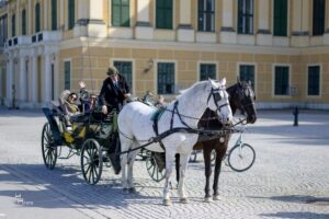 Vienna: Carriage Ride Through Schönbrunn Palace Gardens - How the 30-Minute Loop Works in Practice