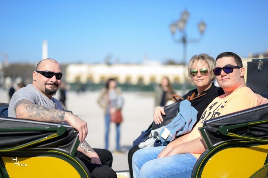 Vienna: Carriage Ride Through Schönbrunn Palace Gardens - Schönbrunn Palace Gardens: What You’ll Actually See From the Carriage