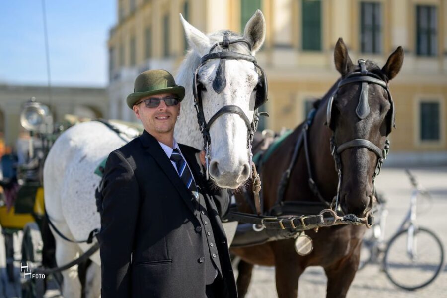 Vienna: Carriage Ride Through Schönbrunn Palace Gardens - The Fiaker Driver: Stories That Give You Vienna Context Fast