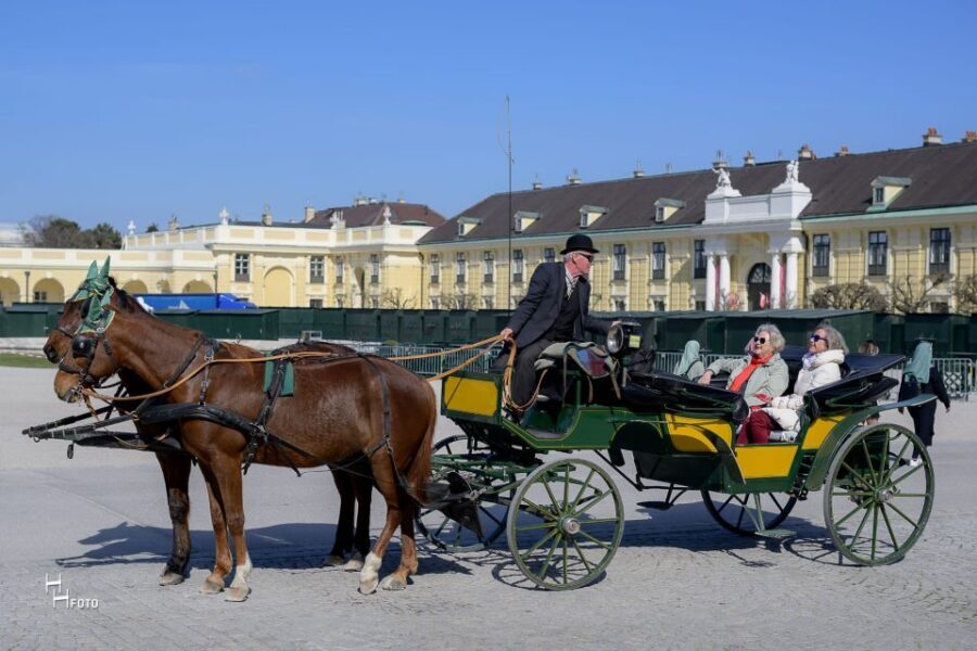 Vienna: Carriage Ride Through Schönbrunn Palace Gardens - How to Judge the $108 Price for a Group Up to 4