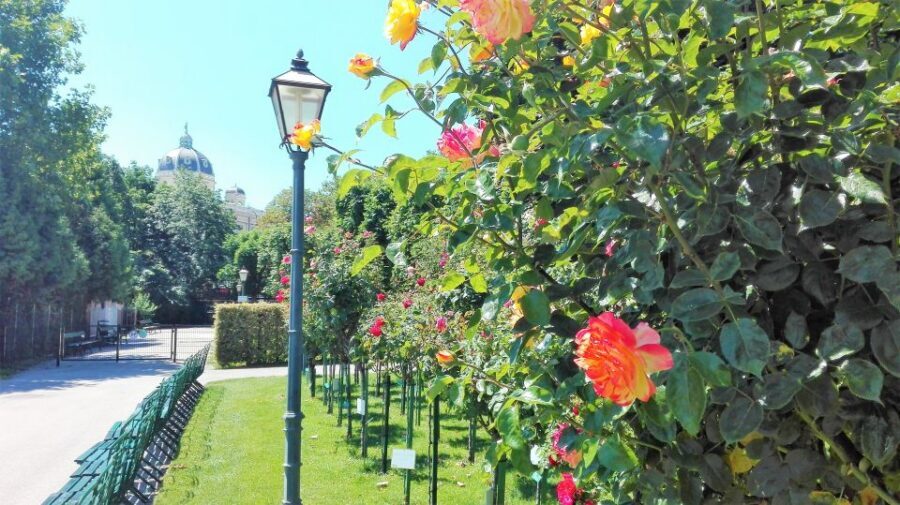 Vienna: City Highlights Guided Walking Tour & Old Town - The value of a 2-hour Vienna old town route