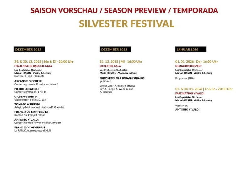 Vienna: Classical Concerts in the Minorite Church Ticket - How the evening runs: a calm 70-minute musical focus