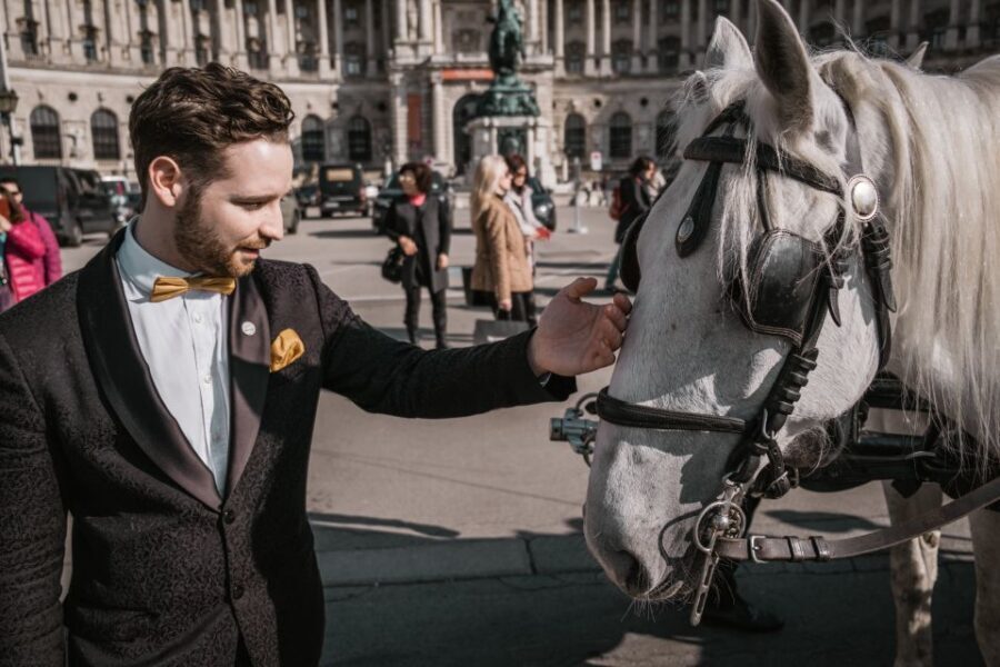 Vienna: Culinary Horse-Drawn Carriage Experience - Inside the Weatherproof Carriage: Comfort, Quiet, and Four Seats