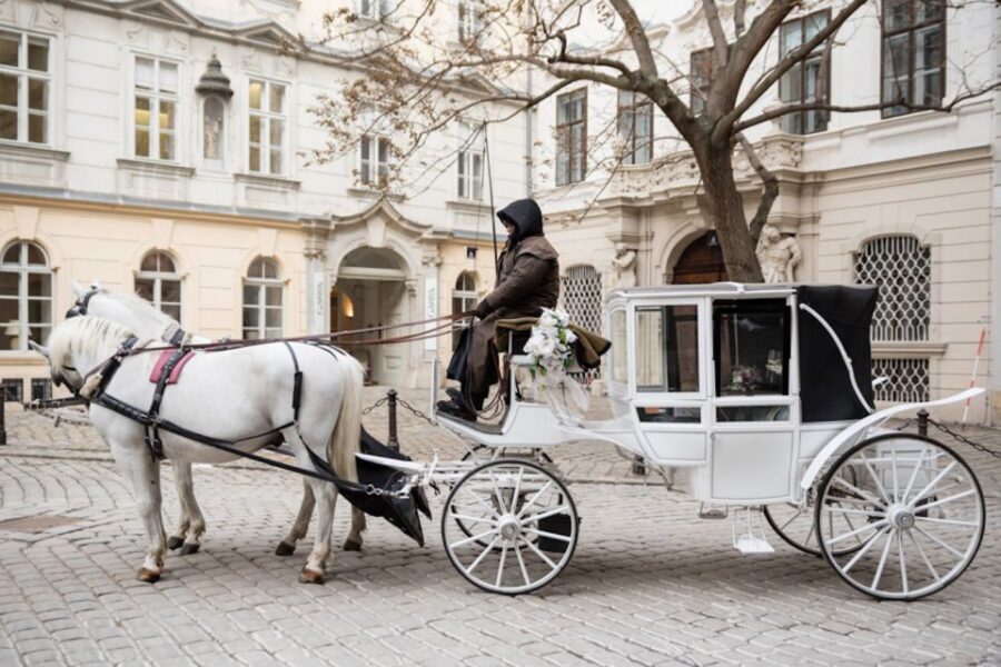 Vienna: Culinary Horse-Drawn Carriage Experience - Value for $229: Is a Private Culinary Carriage Worth It?