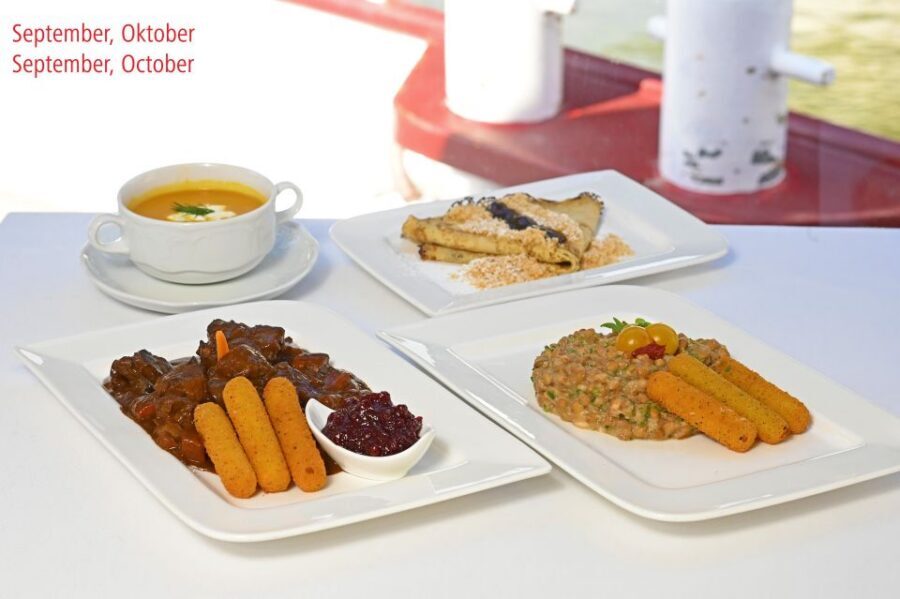 Vienna: Danube River Cruise w/ optional Viennese Specialties - Key highlights at a glance