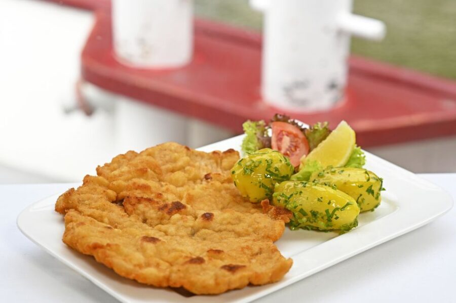 Vienna: Danube River Cruise w/ optional Viennese Specialties - Why this Danube cruise is a smart Vienna time-saver