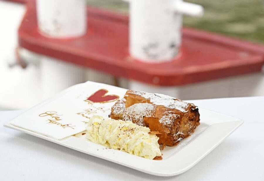 Vienna: Danube River Cruise w/ optional Viennese Specialties - Price and value: what $36 gets you (and what it doesn’t)
