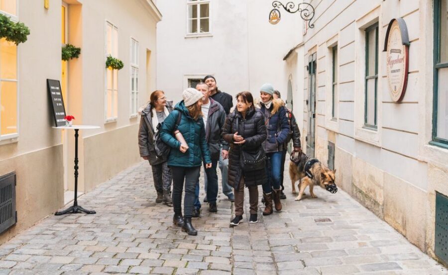 Vienna: Educational Walk Exploring Homelessness - Language matters: German guide, real discussion