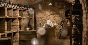 Vienna: Hidden Wine Cellars Tasting Experience - The Tasting Plan: 3 Wines Matched With Viennese Snacks
