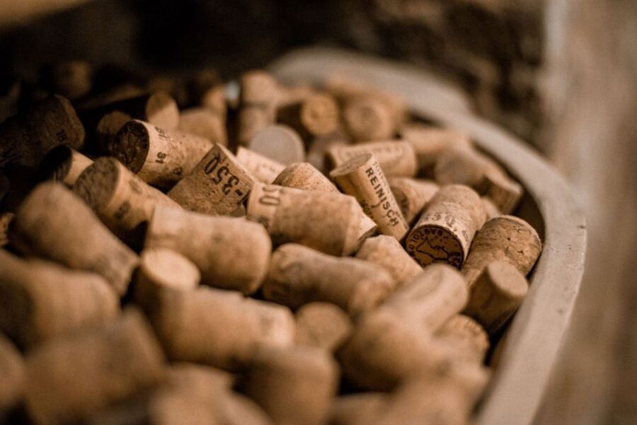 Vienna: Hidden Wine Cellars Tasting Experience - Three Cellars, Three Moods: What You’re Really Visiting