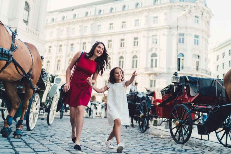 Vienna: Highlights Private Tour, Palaces & Sacher Cake - Price, pacing, and who this 3-hour private tour is for