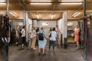 Vienna Horse-drawn Carriage Guided Tour - Entering the Fiaker Stables: Where the Real Experience Starts