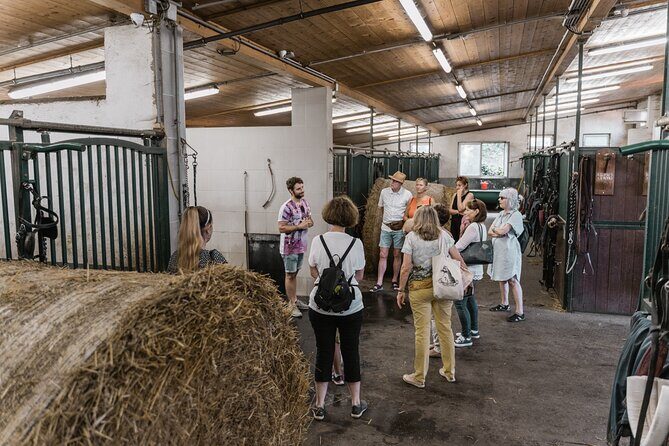 Vienna Horse-drawn Carriage Guided Tour - Stop by Stop: What You’ll See Along the Route