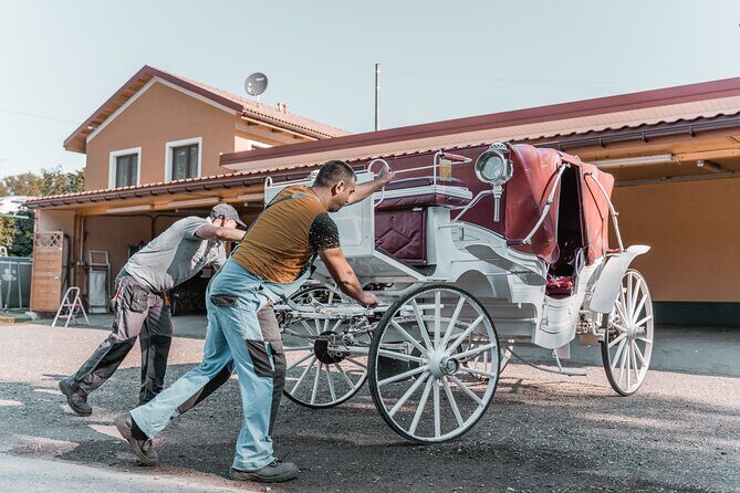 Vienna Horse-drawn Carriage Guided Tour - Price and Value: What $39.16 Really Buys You