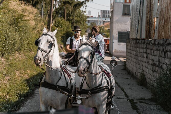Vienna Horse-drawn Carriage Guided Tour - Who Should Book This Fiaker Experience