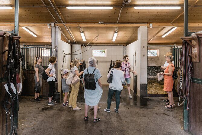 Vienna Horse-drawn Carriage Guided Tour - Entering the Fiaker Stables: Where the Real Experience Starts