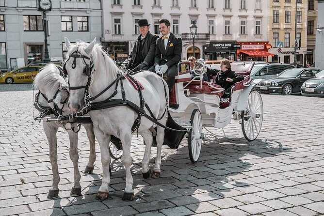 Vienna Horse-Drawn Carriage Ride with Sparkling Wine and Food - Key Points to Know Before You Go