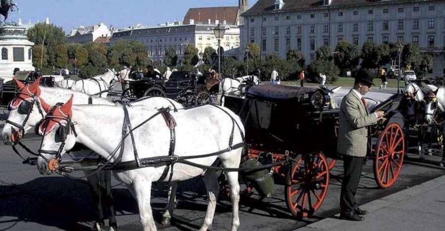 Vienna: Mozart Concert with Dinner and Carriage Ride - Key moments that make this evening worth it