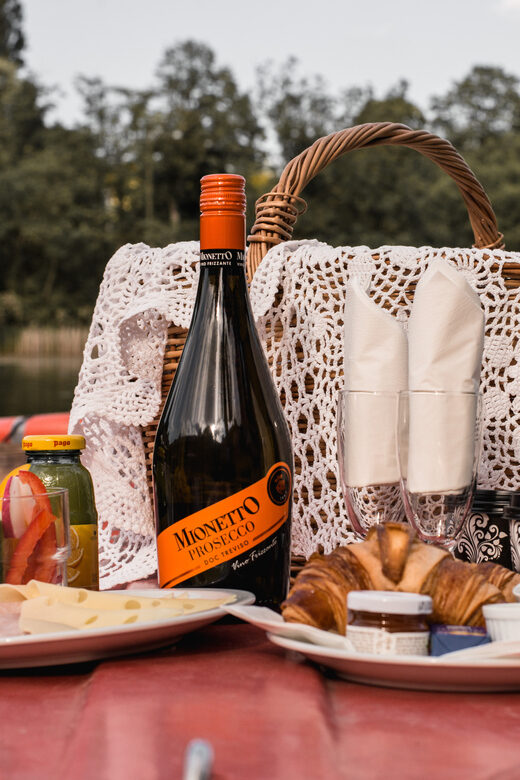Vienna: Retro Boat Tour on the Danube River with Picnic - The Welcome and How You Start (Without the Chaos)