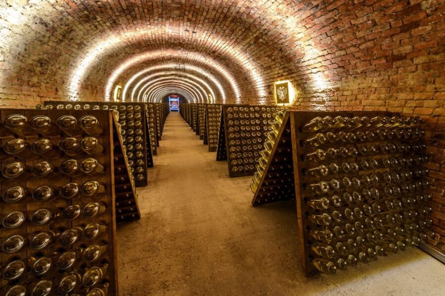 Vienna: Schlumberger Wine Cellar Guided or Self-Guided Tour - Schlumberger cellar, but make it a practical wine lesson
