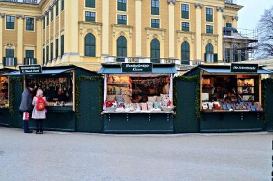 Vienna: Schönbrunn Palace & Christmas Market Walking Tour - The All-Important Entrance Fee: Skip the Line, Not the Ticket