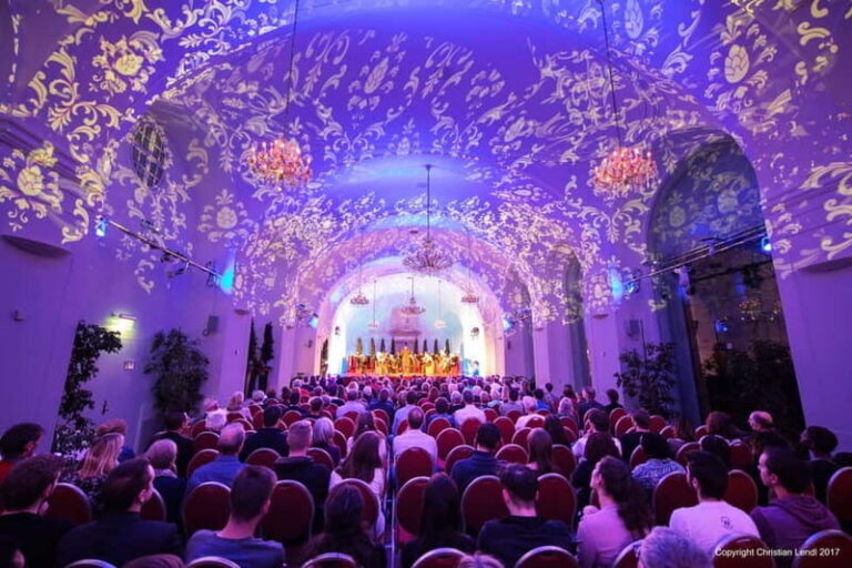 Vienna: Schönbrunn Palace Evening Tour, Dinner and Concert - Picking Up Your Tickets: The Visitors’ Entrance Shortcut