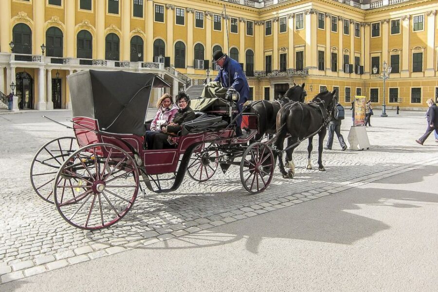 Vienna: Schönbrunn Palace & Gardens Skip-the-Line Tour - Habsburg life and Sissi’s legend: what you’ll understand after