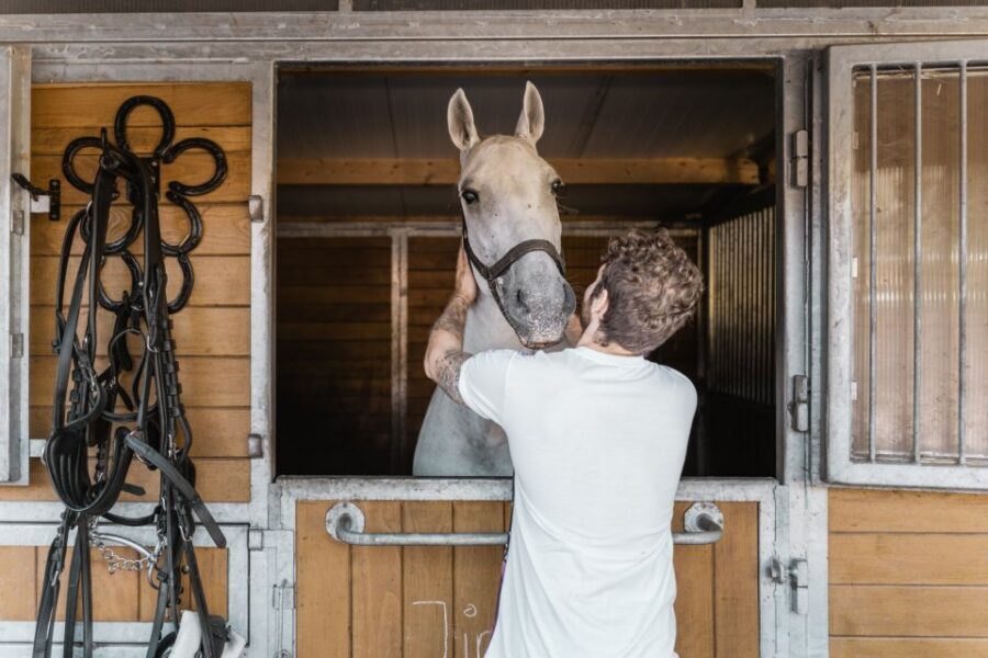 Vienna: Secrets of the Fiaker & Horse-Drawn Carriage Ride - The hitching-up moment: watching the teams get ready