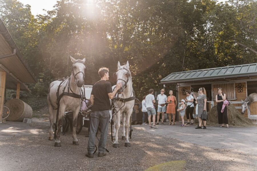 Vienna: Secrets of the Fiaker & Horse-Drawn Carriage Ride - Logistics that matter: shoes, timing, and finding Rappachgasse 34A