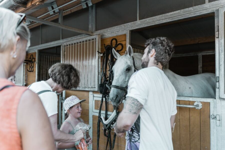 Vienna: Secrets of the Fiaker & Horse-Drawn Carriage Ride - Who should book this Fiaker stable-and-ride tour