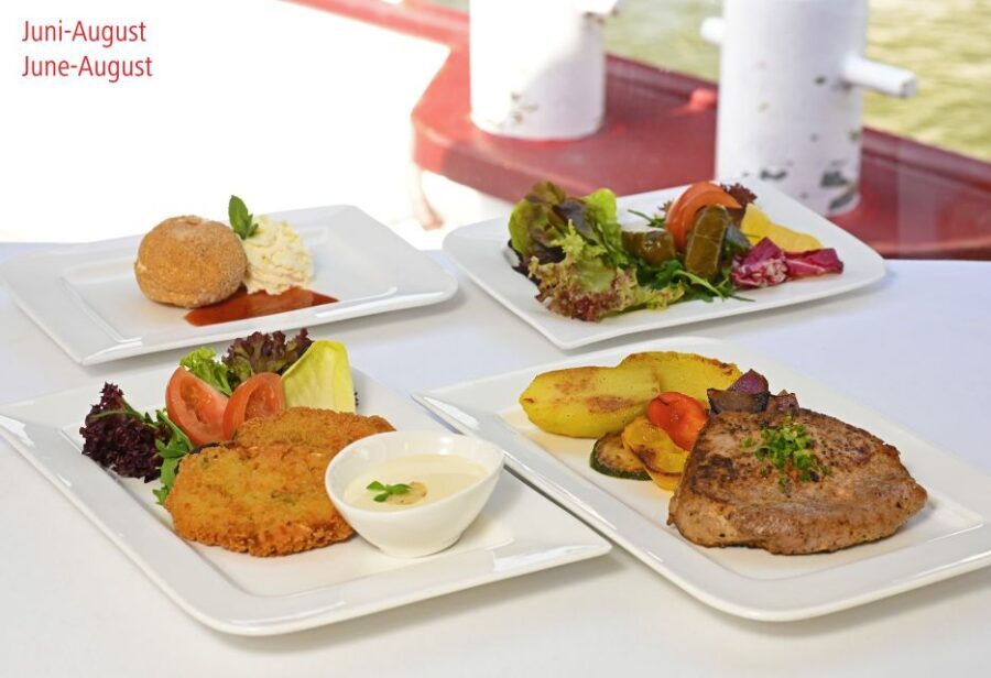 Vienna: Sightseeing Boat Tour with Lunch - Who This Vienna Danube Canal Lunch Cruise Is Best For