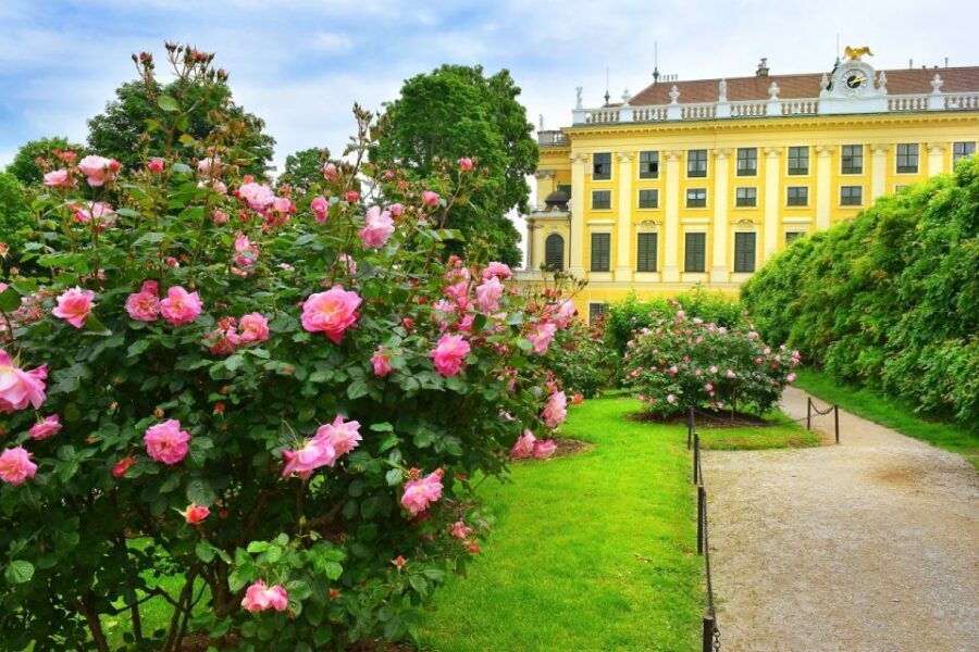 Vienna: Skip-the-Line Schonbrunn Palace Private Tour - Private guide impact: adapting the visit in real ways